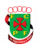 FC Paços de Ferreira