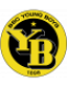 BSC Young Boys