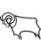 Derby County