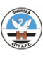 Swansea City