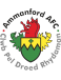 Ammanford AFC