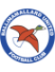 Ballinamallard United FC