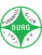1.FC Burg